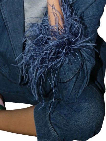 Blue Ostrich Feather Top and Pants Set