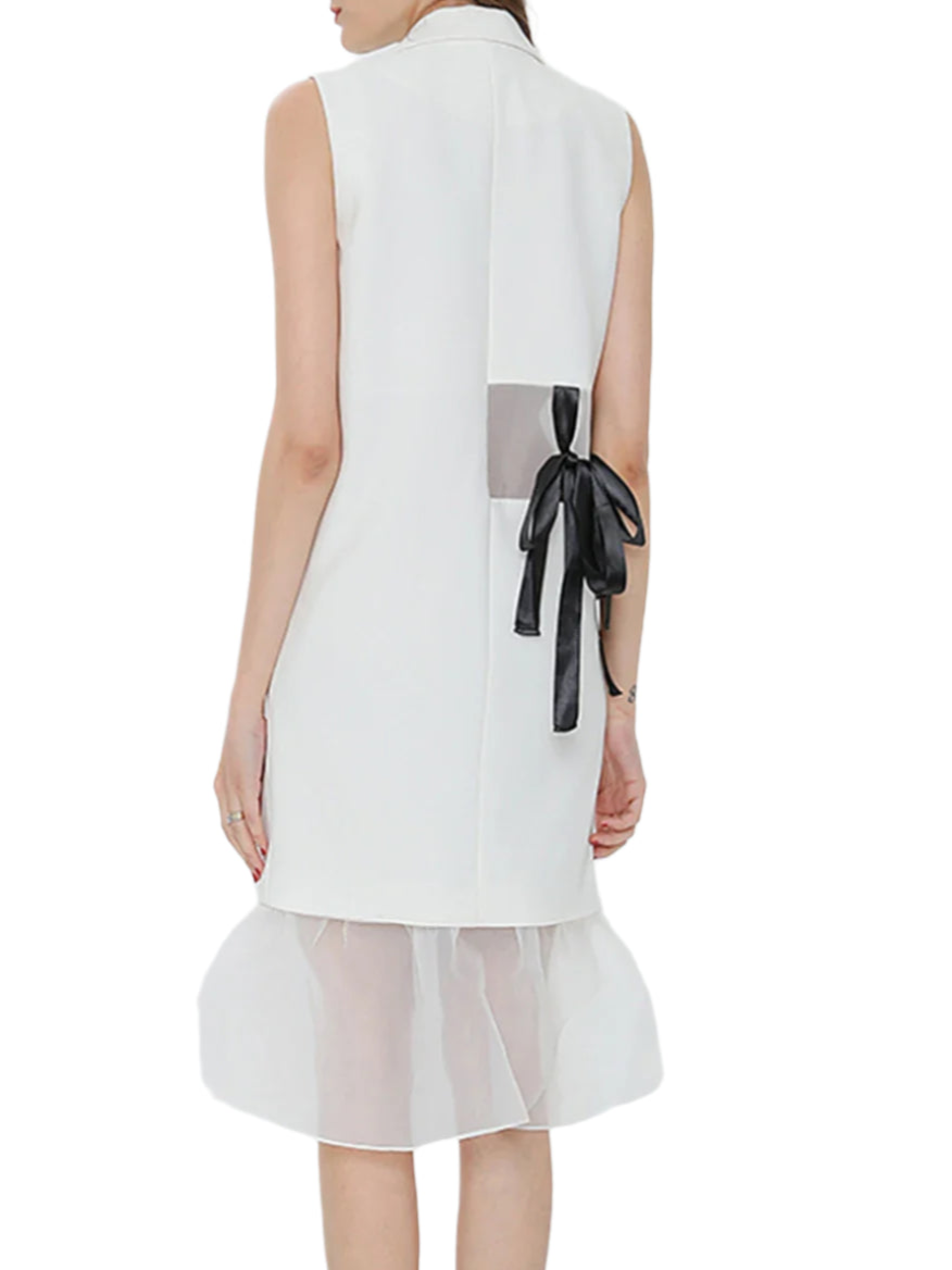 Mesh V Neck Dress With Ribbon